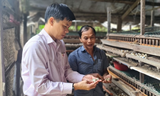 Lộc Ninh: Nguồn vốn vay ưu đãi tạo đòn bẩy giúp người dân vùng biên giới thoát nghèo